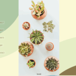 架空植物Webサイトのファーストビュー